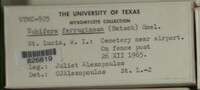 Image Associated With the Occurence